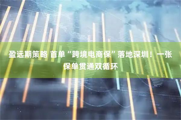 盈远期策略 首单“跨境电商保”落地深圳！一张保单贯通双循环