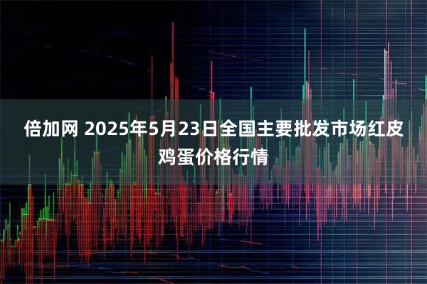 倍加网 2025年5月23日全国主要批发市场红皮鸡蛋价格行情