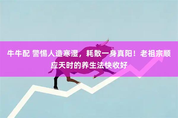 牛牛配 警惕人造寒湿,耗散一身真阳!老祖宗顺应天时的养生法快收好